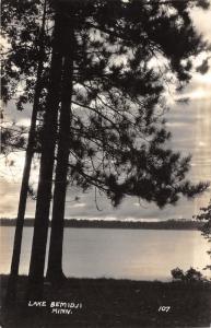 Lake Bemidji Minnesota View @ Sunset~Pine Tree in Foreground~1940s Real Photo Pc