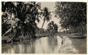 Indonesia Indonesia Landscape Palmtrees and River RPPC  06.40