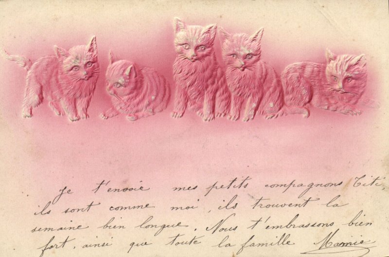 PC CATS, FIVE PINK CATS, Vintage EMBOSSED Postcard (b47053)