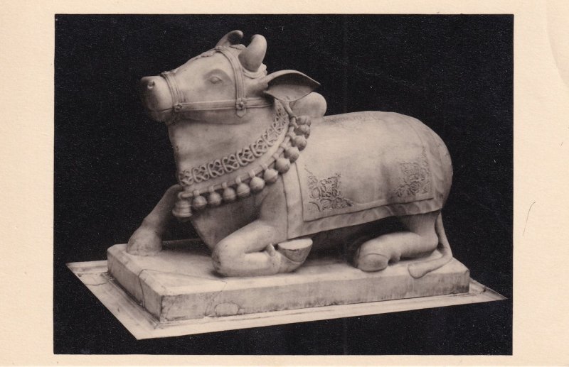 Nandi Marble Bull Of Siva Cawnpore Massacre Horniman Museum Old Postcard