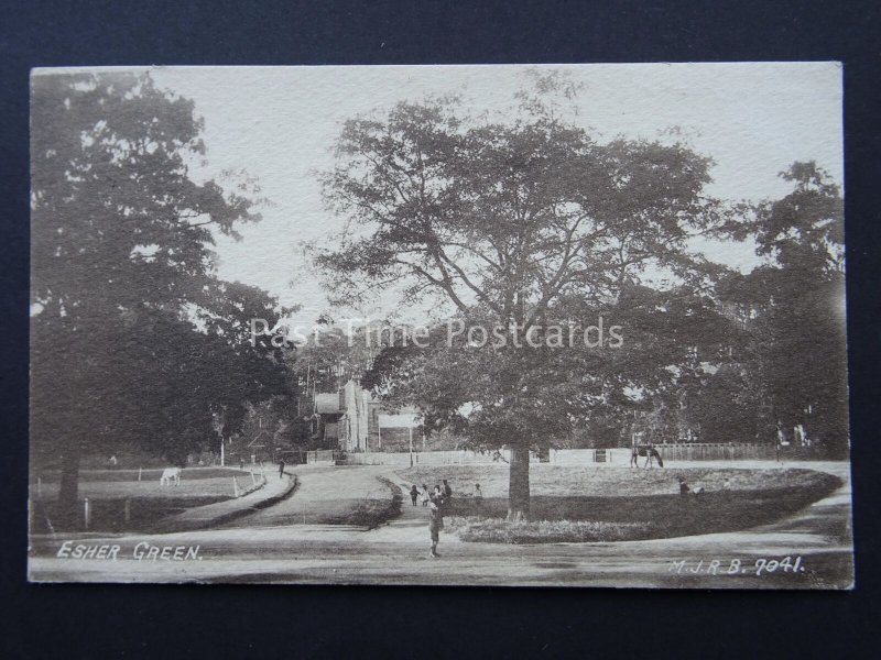 Surrey ESHER GREEN shows Horses & Cattle Grazing c1908 Postcard by M.J.R.B.