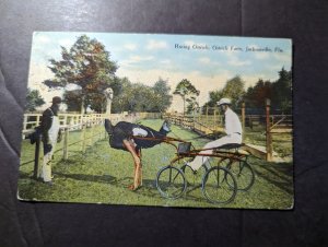 Mint USA Postcard Racing Ostrich Ostrich Farm Jacksonville FL Florida