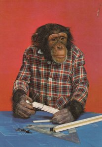 Chimpanzee With Vintage Slide Rule Ruler Geometry Set Old Postcard