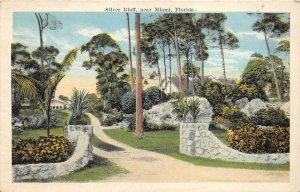 Miami Florida 1920-30s Postcard Silver Bluff 