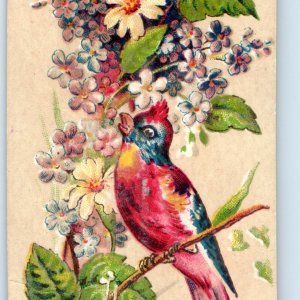 c1880s Mini Bookmark Thou God Seest Me Bible Quote Lovely Bird Trade Card C43