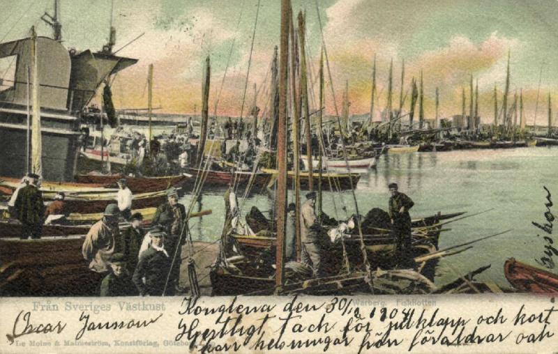 sweden, VARBERG WARBERG, Fiskflotten, Harbour Fishing Boats (1904) Stamps