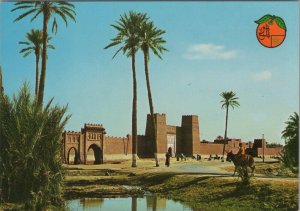 Morocco Postcard - View of Typical Morocco   RR13481