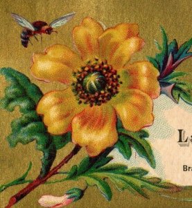 1870's Isaac Leitch Ladies' Hair Artist Saratoga Wares Bee Insect Flowers P166