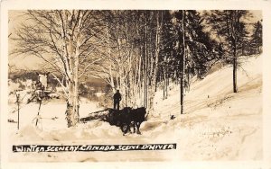 Lot326 winter Quebec real photo horses pulling wood social history canada