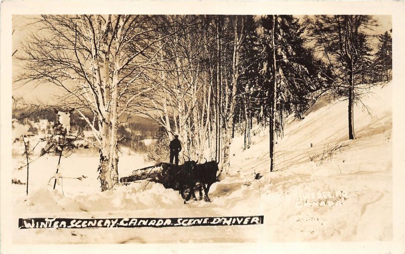 Lot326 winter Quebec real photo horses pulling wood social history canada 