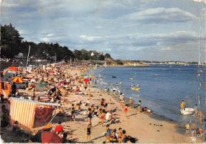 BR50275 Carnac plage de legenese     France