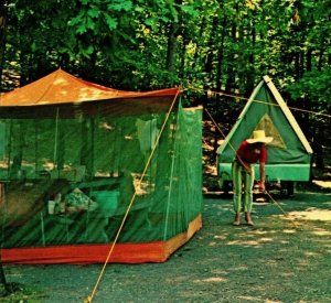 Rising Fawn Georgia GA Cloudland Canyon Camping Unused UNP Chrome Postcard S21