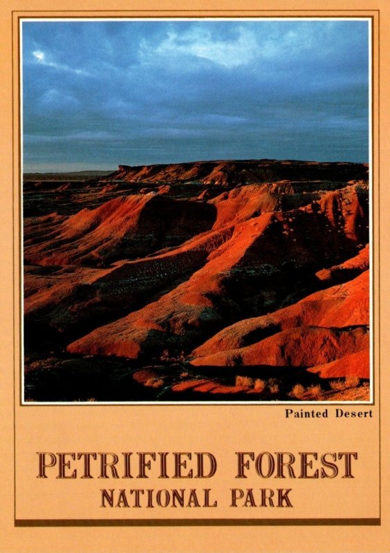 Arizona Petrified Forest National Park The Painted Desert