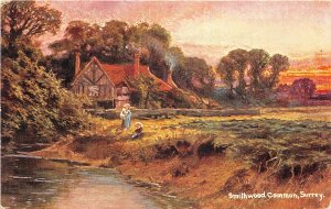 auk41396 smithwood common surrey uk