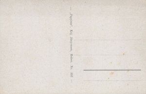 Denmark Udsigt over Hobro Vintage Postcard 08.84