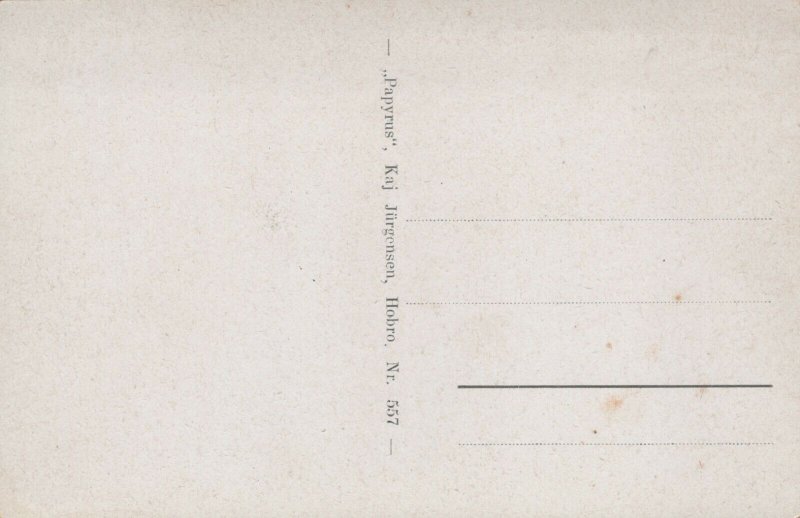 Denmark Udsigt over Hobro Vintage Postcard 08.84