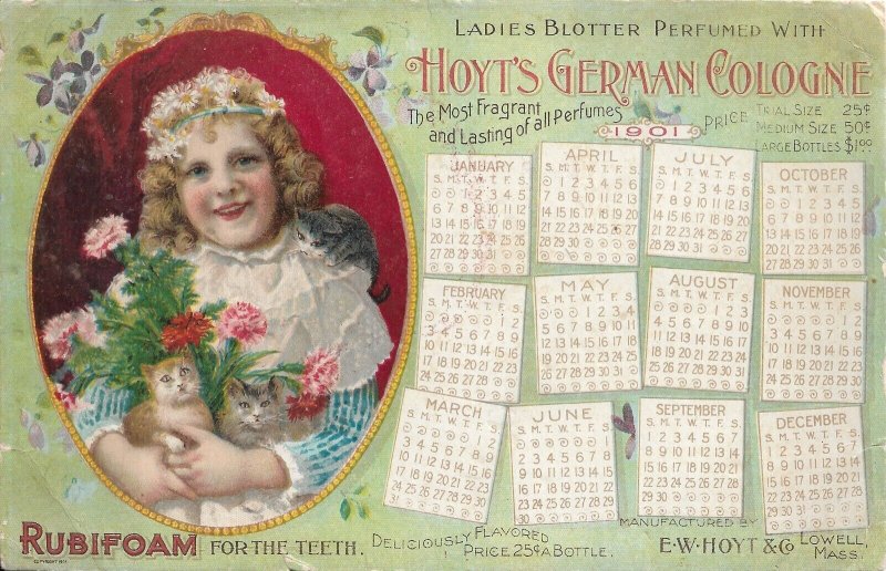 E.W. Hoyt & Co, Lowell, Ma Hoyt's German Cologne Advertising Card (49428)