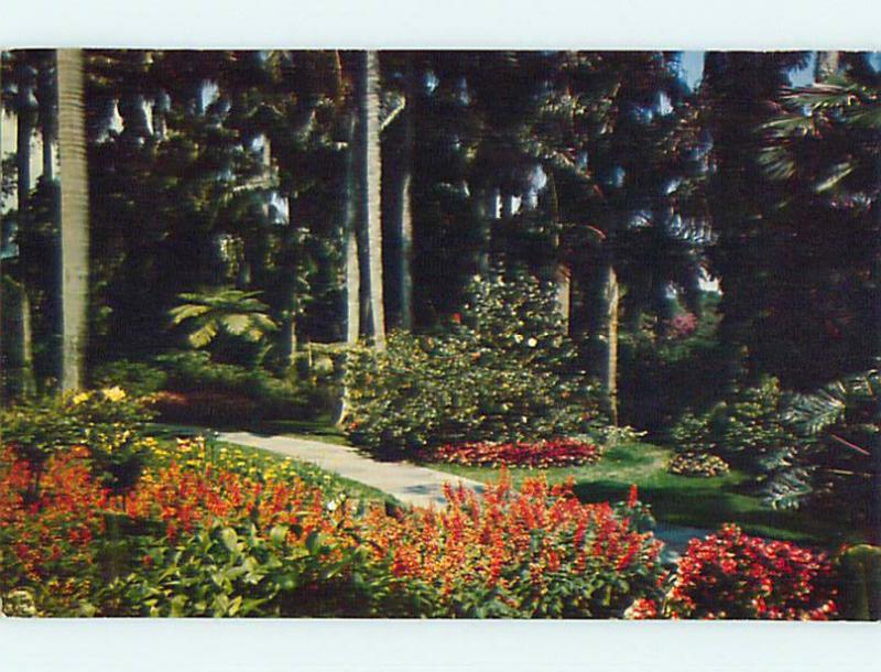 1958 Path Thru Sunken Gardens St Saint Petersburg Florida Fl