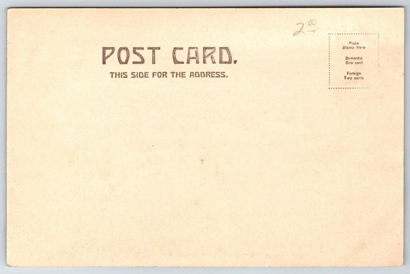 Freeport Maine~US Flags Fly Over Casco Castle & Park~c1906 UDB Postcard