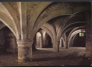 Hampshire Postcard - The Cellarium, Mottisfont Abbey, Near Romsey  LC4719