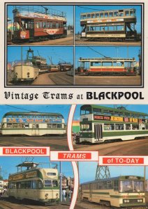 Dana Live At Blackpool Vintage Trams Advertising 2x Postcard s