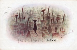 Cats Eye View Of Sheffield Poverty Yorkshire Old Comic Postcard