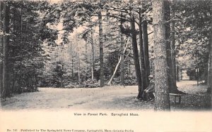 View in Forest Park in Springfield, Massachusetts