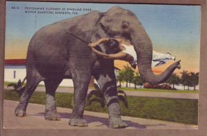 Ringling Brothers Winter Quarters Elephant holding trainer in mouth Sarasota FL