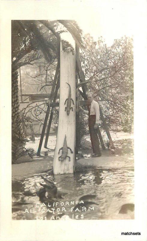 1940s Los Angeles California Alligator Farm RPPC Real Photo Postcard 10934