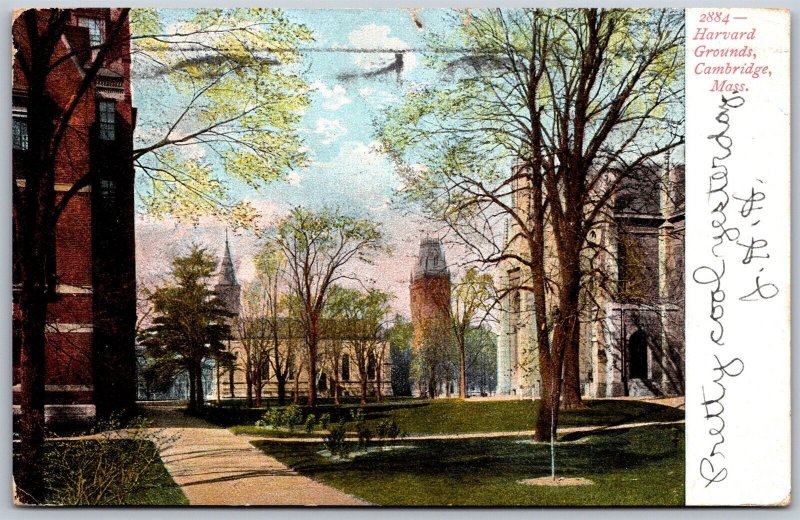 Vtg Cambridge Massachusetts MA Harvard Grounds Campus 1906 View Old Postcard