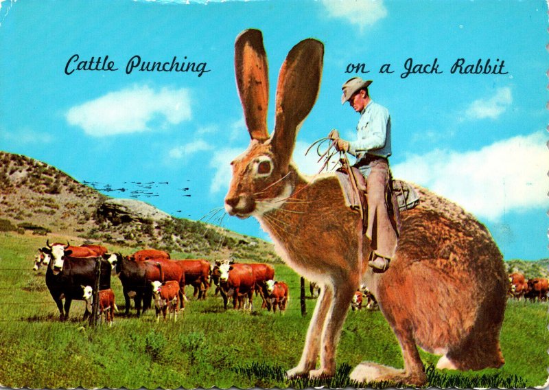 Humour Exageration Cattle Punching On A Jack Rabbit