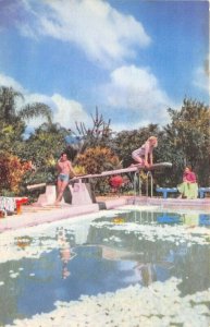 Fortin De Las Lores Mexico 1950-60s Postcard Hotel Ruiz Galindo Swimming Pool