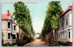 Los Angeles California~Palm Tree Drive~Adams St~Residences~Road~c1910 Postcard
