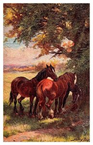 Dog   Horses, signed Harry Payne , Tuck's No.3311