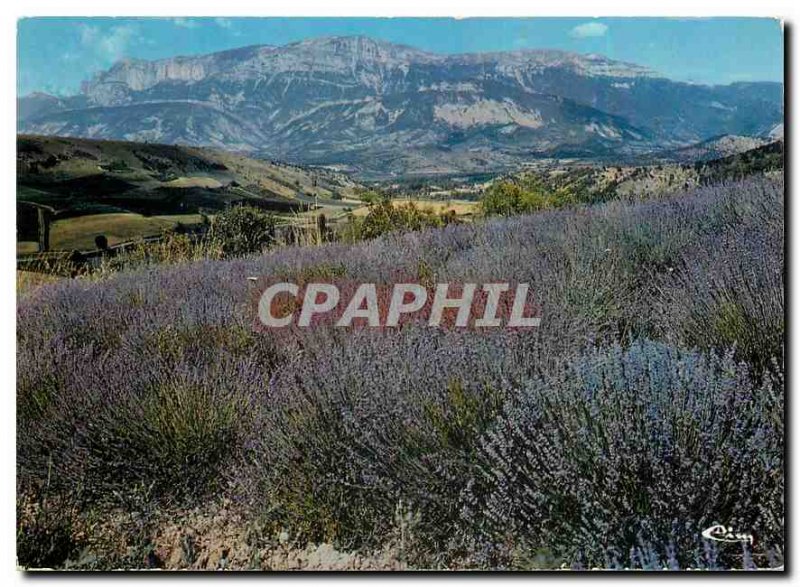 Postcard Modern Die Drome Lavender Field has Barnave and Glandasse