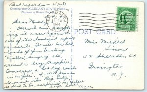 CATTARAUGUS COUNTY, NY ~ ALLEGANY STATE PARK 1944  Linen Postcard