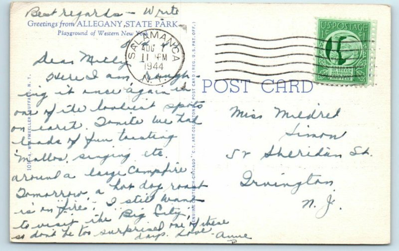 CATTARAUGUS COUNTY, NY ~ ALLEGANY STATE PARK 1944  Linen Postcard