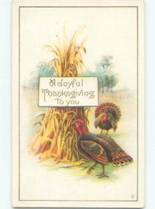 Divided-Back THANKSGIVING SCENE Great Postcard AA0668