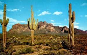 Arizona Mesa Superstition Mountains and Giant Saguaro Cactus