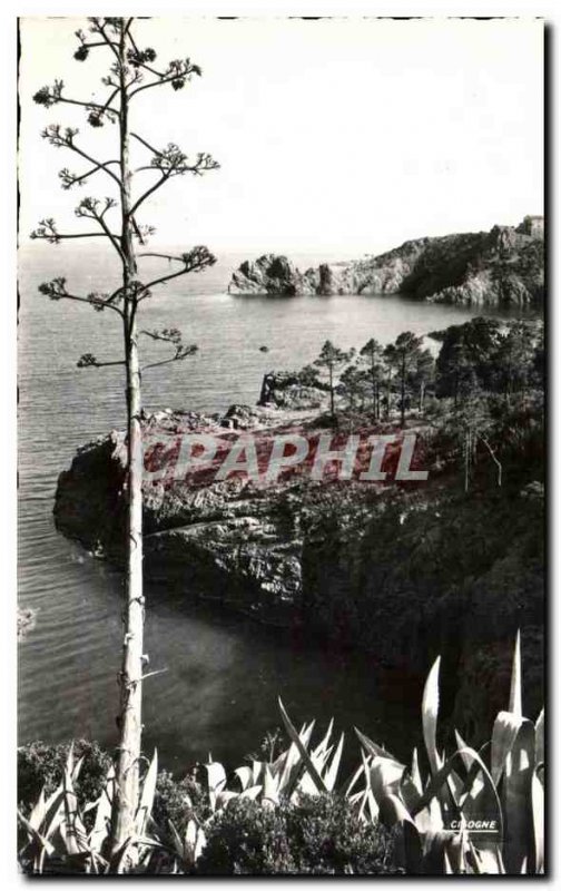 Old Postcard La Corniche D & # 39Or (Var) Les Rochers Rouges