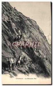 Old Postcard Chamonix Chevre not bad
