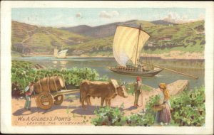 Alcohol Invalid Port W&A Gilbey Wine Grape Vineyards c1910 Postcard