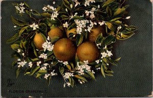 Florida Grapefruit and Blossoms 1908 Tucks