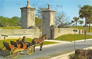 Old City Gate Horses - St Augustine, Florida FL  