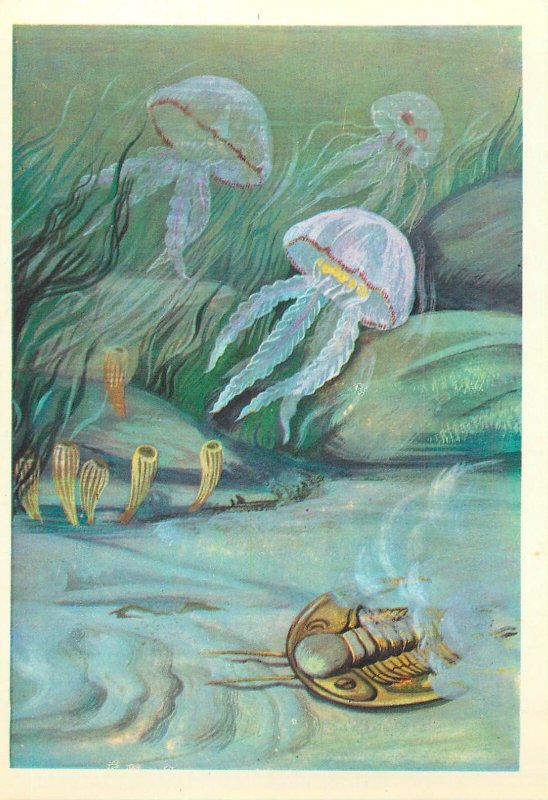 Set of 8 pictorial cards prehistoric animals & landscapes from the depth of ages