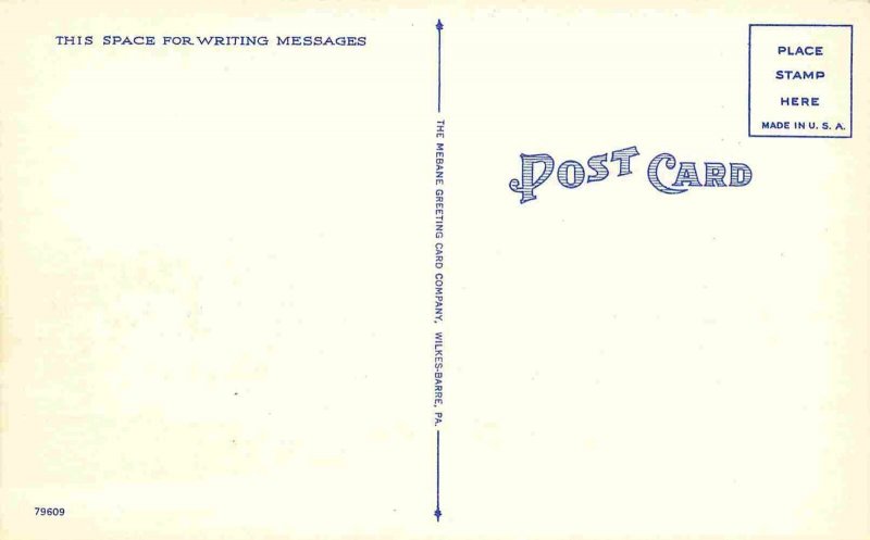 US Post Office Sunsbury Pennsylvania linen postcard
