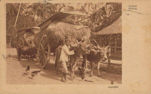 Indonesia Gerobak Malang Java Vintage Postcard 04.82