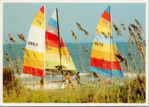 Golden Grand Strand Beach North Myrtle Beach SC Sailing Sailboats Postcard C8