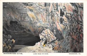 Lion Head, Woodward Cave Woodward, Pennsylvania PA  