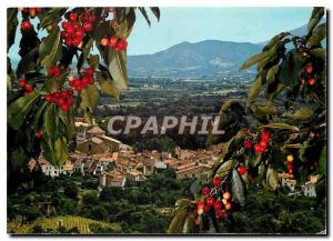  Modern Postcard Ceret City considered for its cherries View